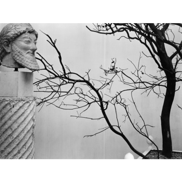 Brett Weston_Archaic Greek sculpture Bust Tree, 1952