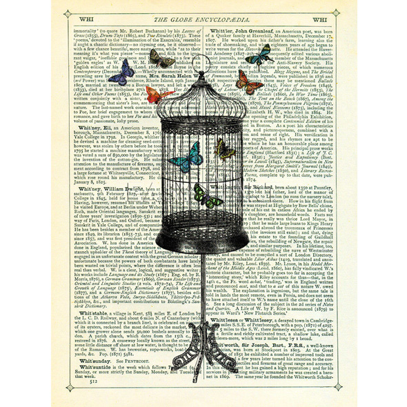 Marion McConaghie_Bird Cage and Butterflies