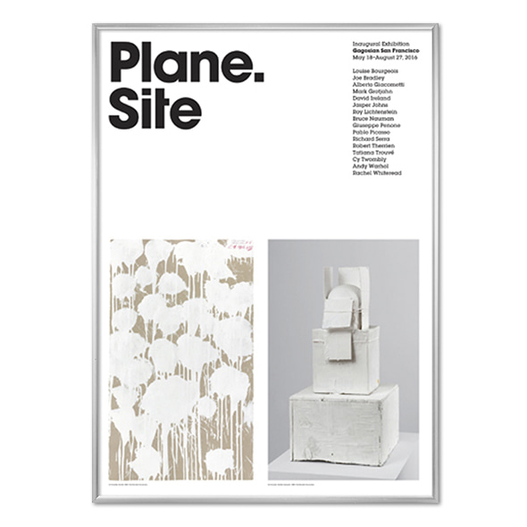 Plane.Site_Cy Twombly Poster