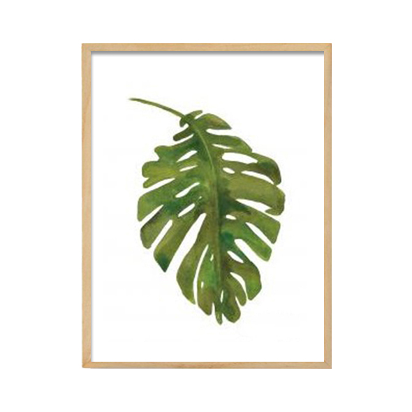abc collection_Tropical leaf